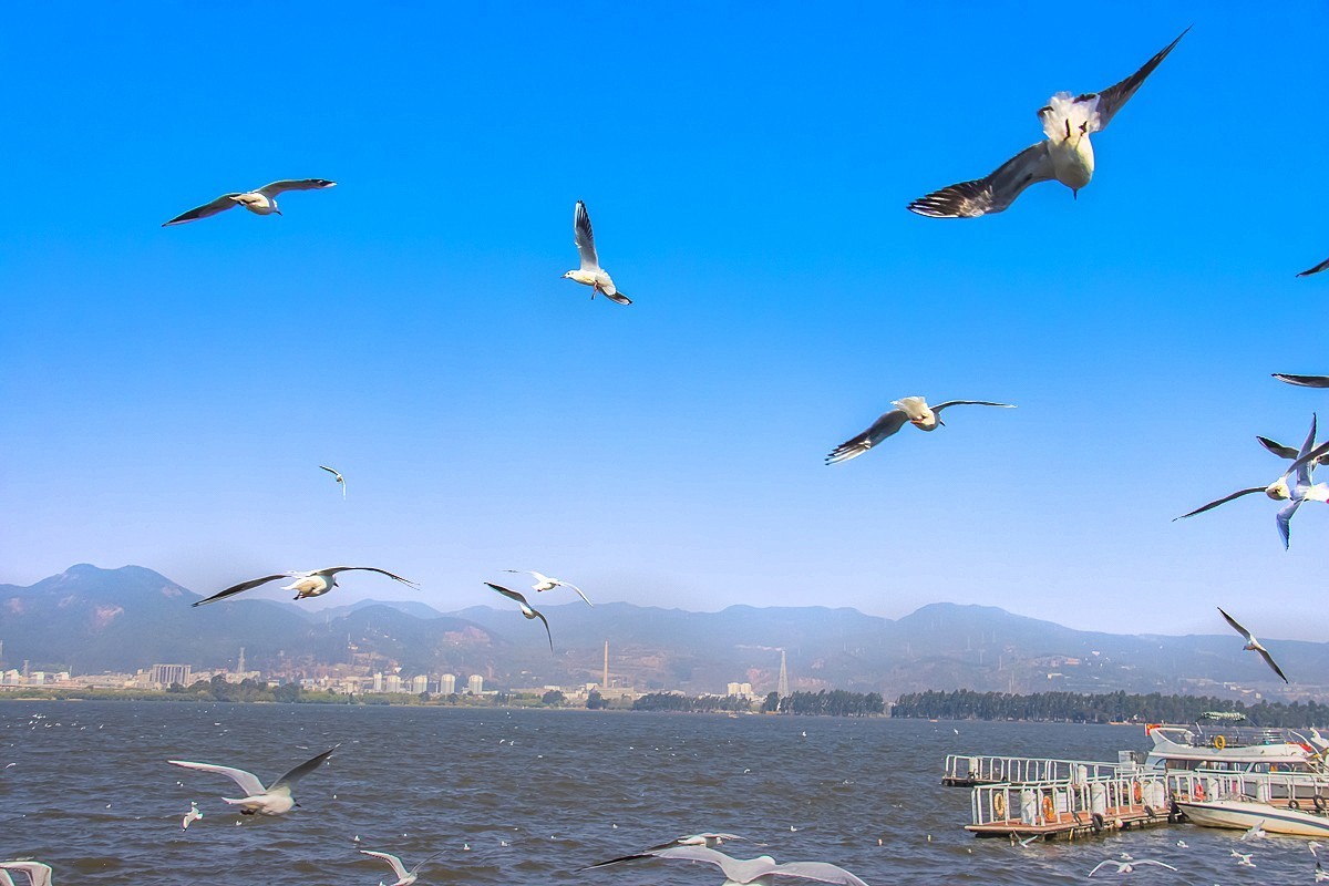 2024-10-24昆明海埂（五）