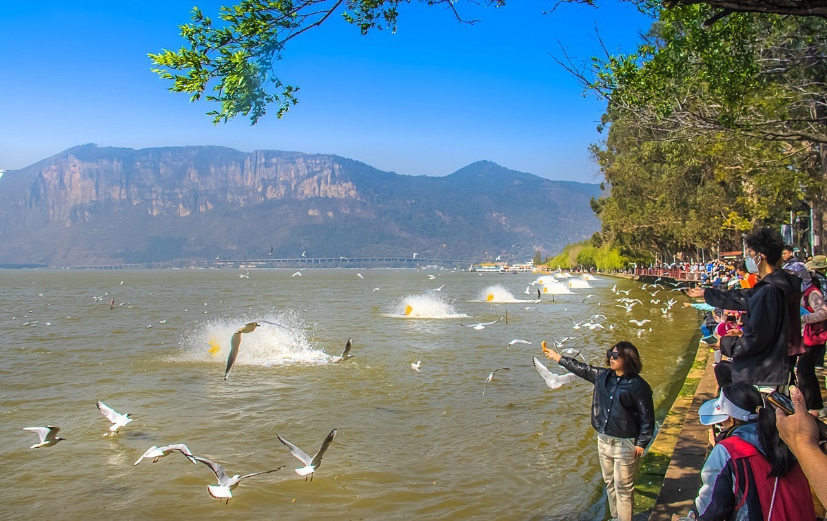 2024-10-24昆明海埂（五）