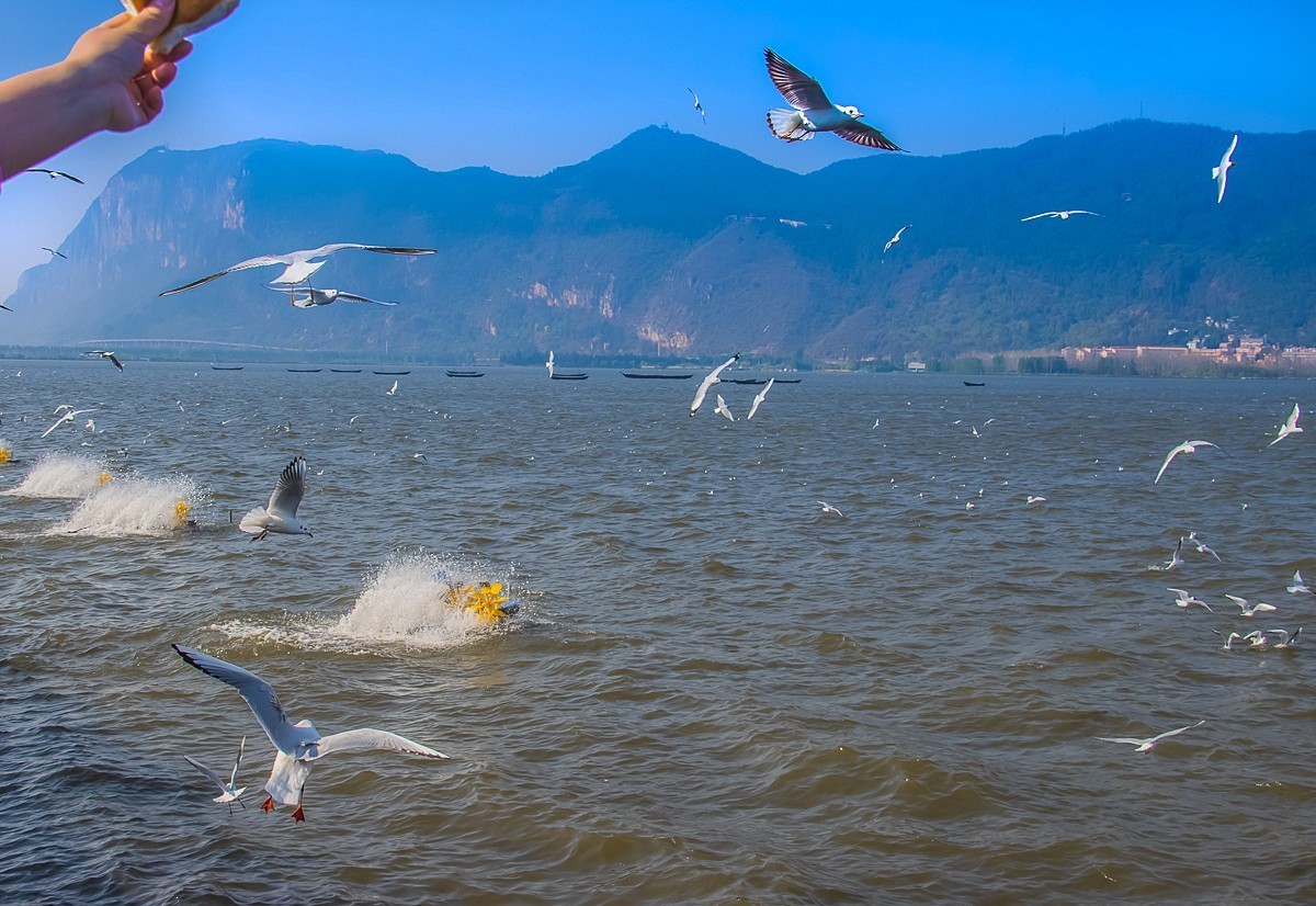 2024-10-24昆明海埂（五）