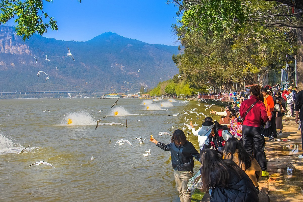 2024-10-24昆明海埂（五）