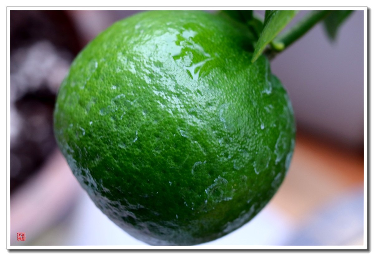 40饼接了个12mm近摄圈