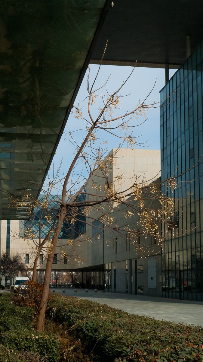 LX3口袋相机顽强坚守