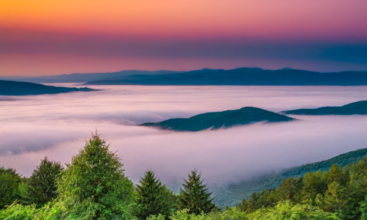 大自然的无尽魅力