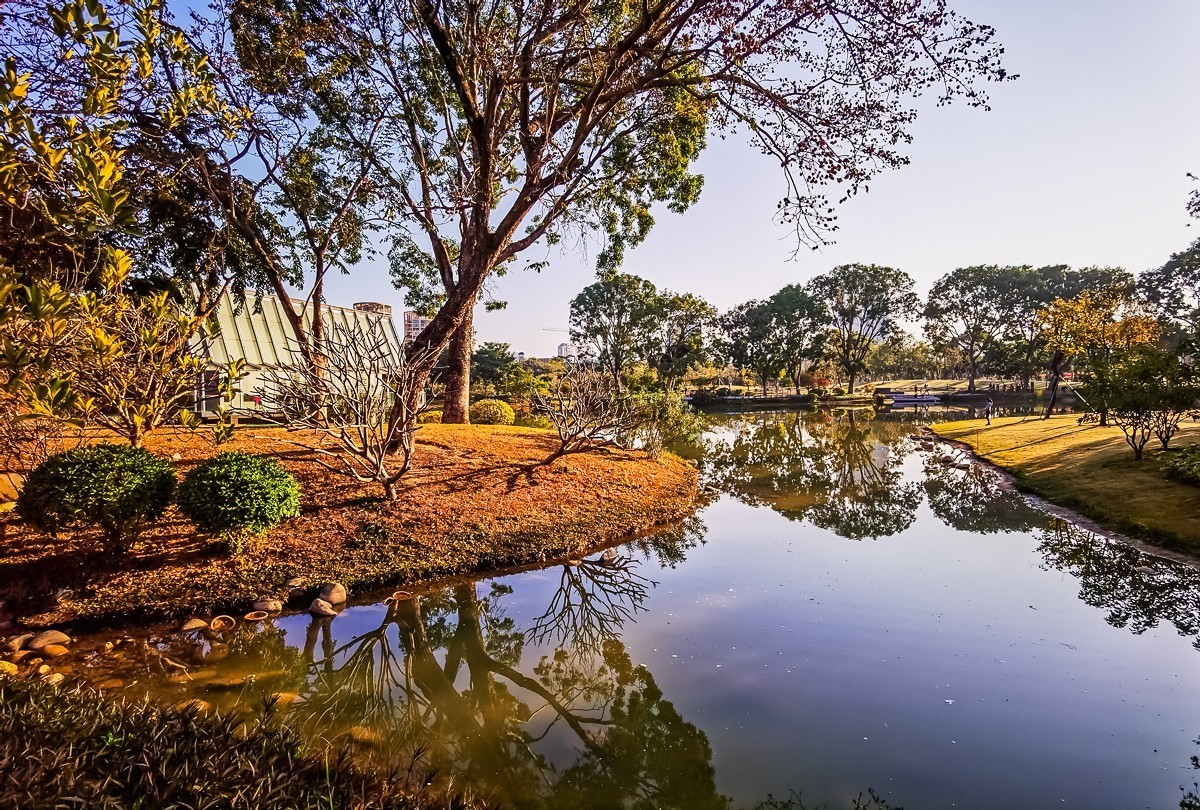 深圳香密公园掠影