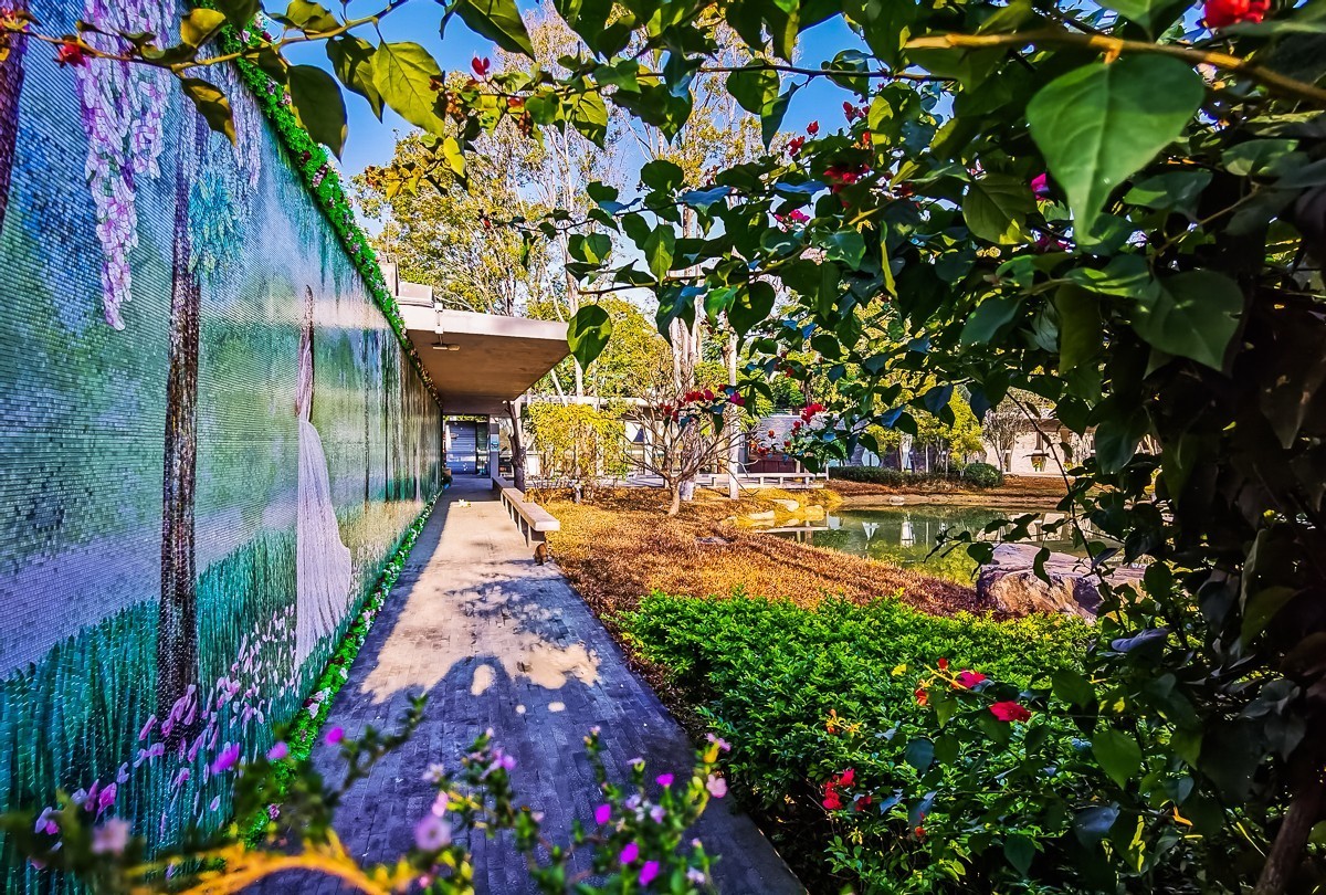 深圳香密公园掠影