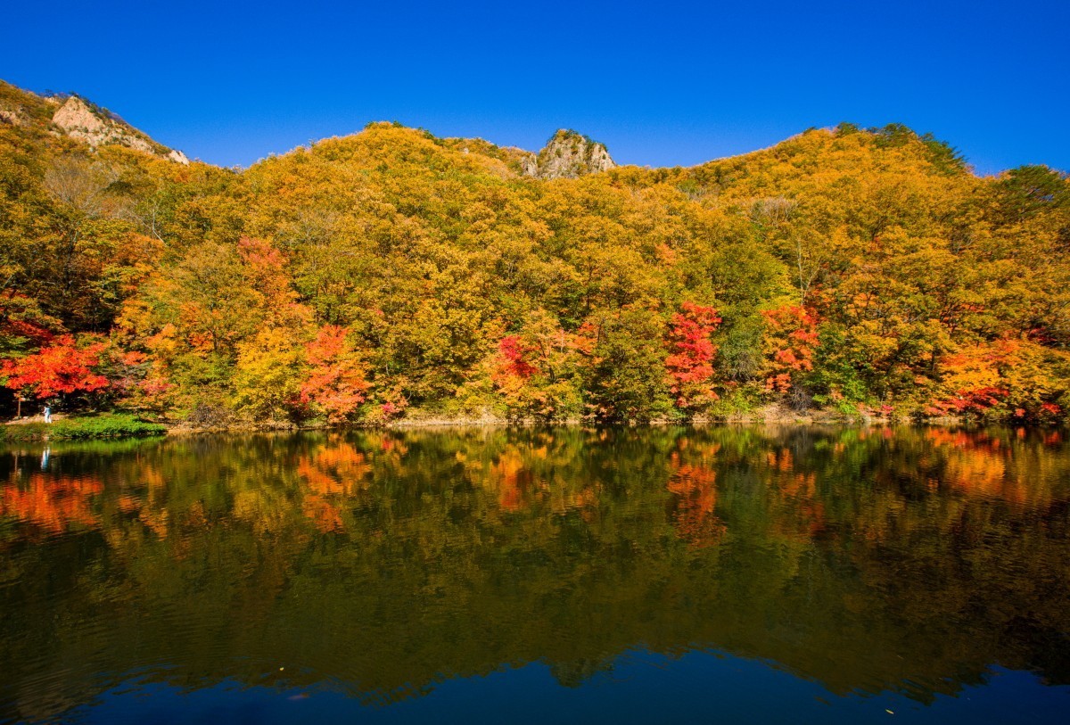 外出随拍（续269）.