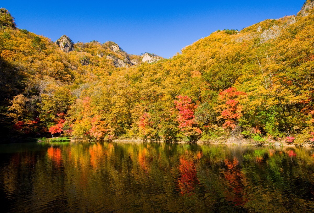 外出随拍（续269）.