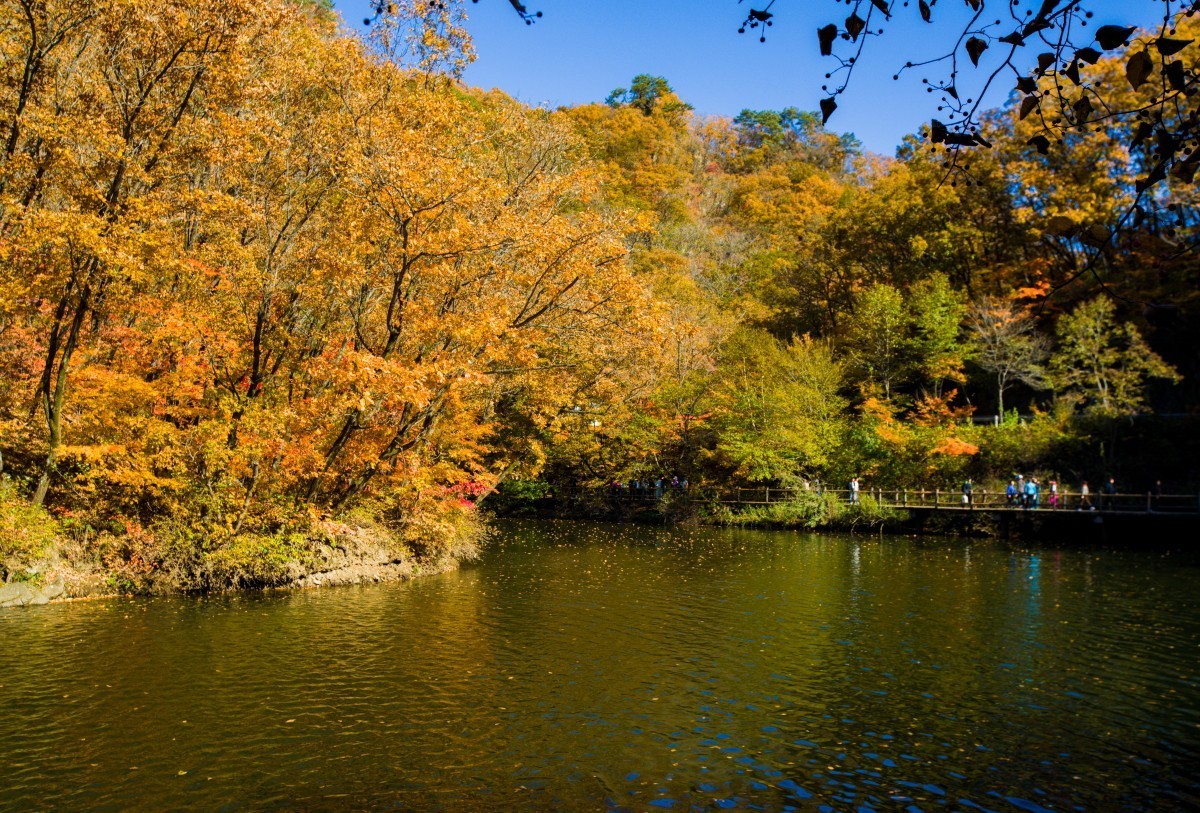 外出随拍（续269）.