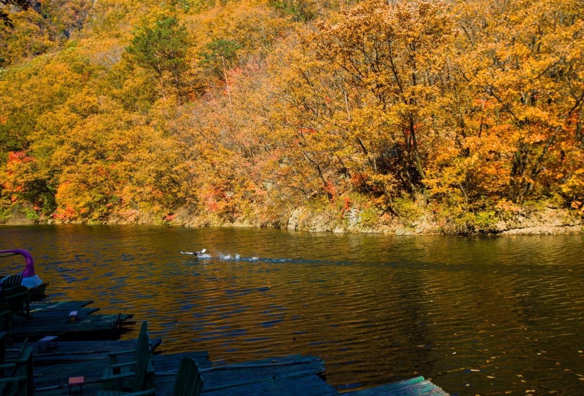 外出随拍（续269）.