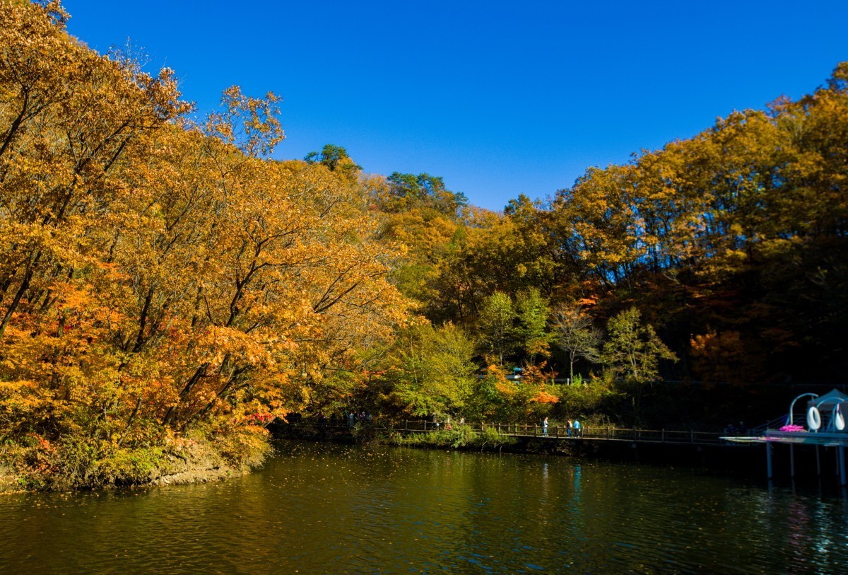 外出随拍（续269）.