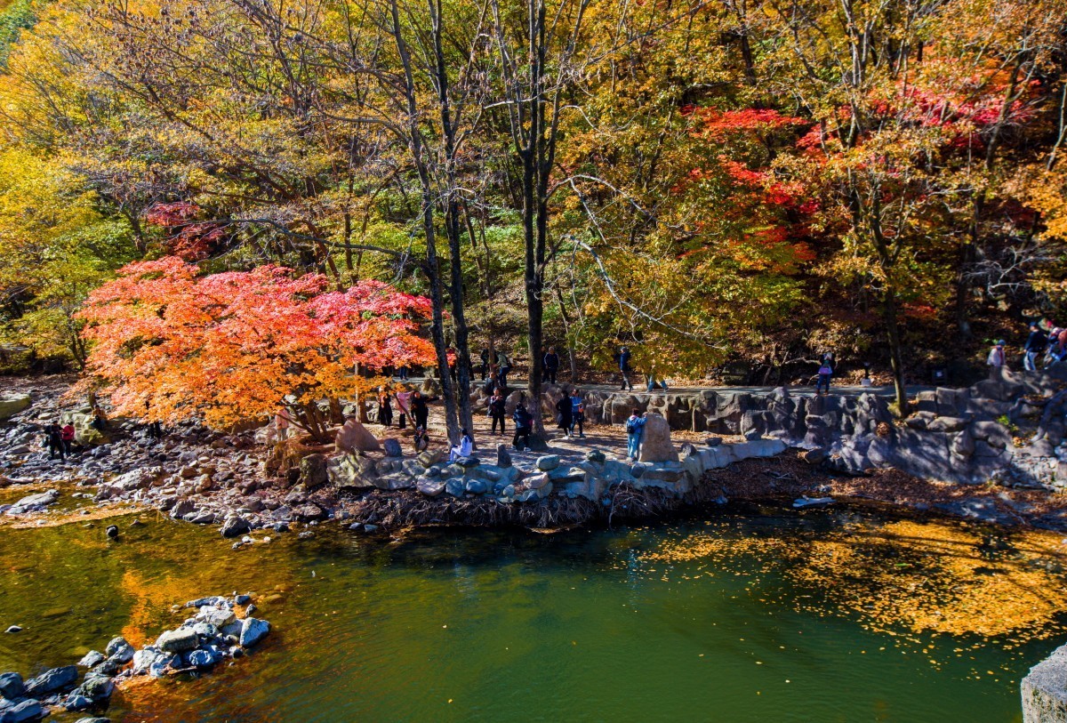 外出随拍（续269）.