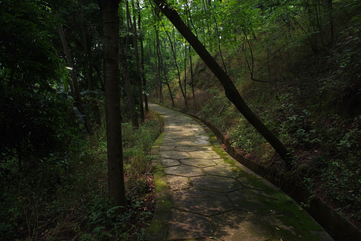九曲河湿地公园