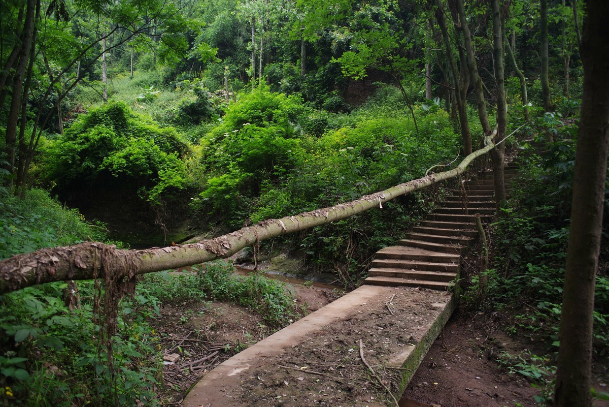 九曲河湿地公园