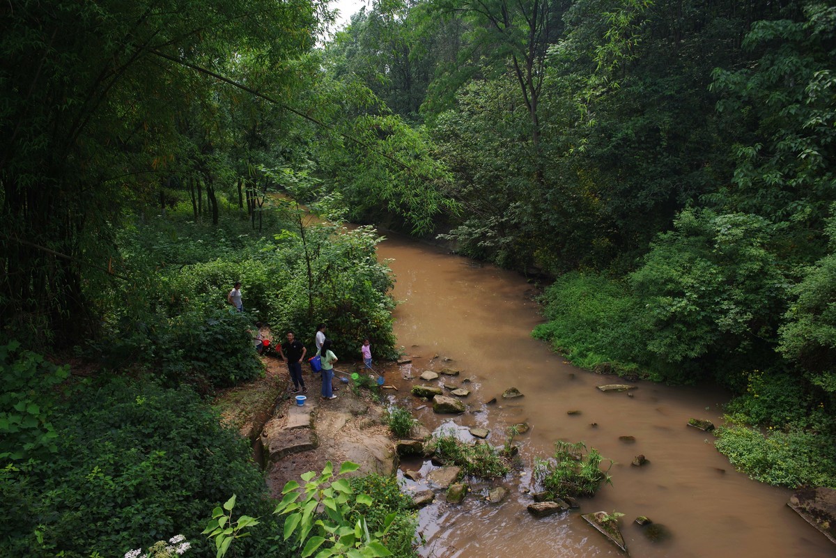 九曲河湿地公园