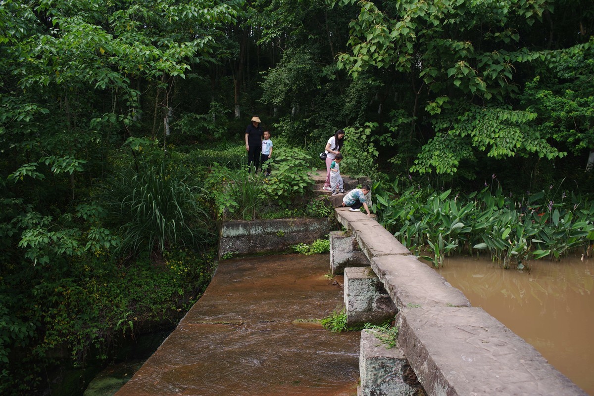 九曲河湿地公园