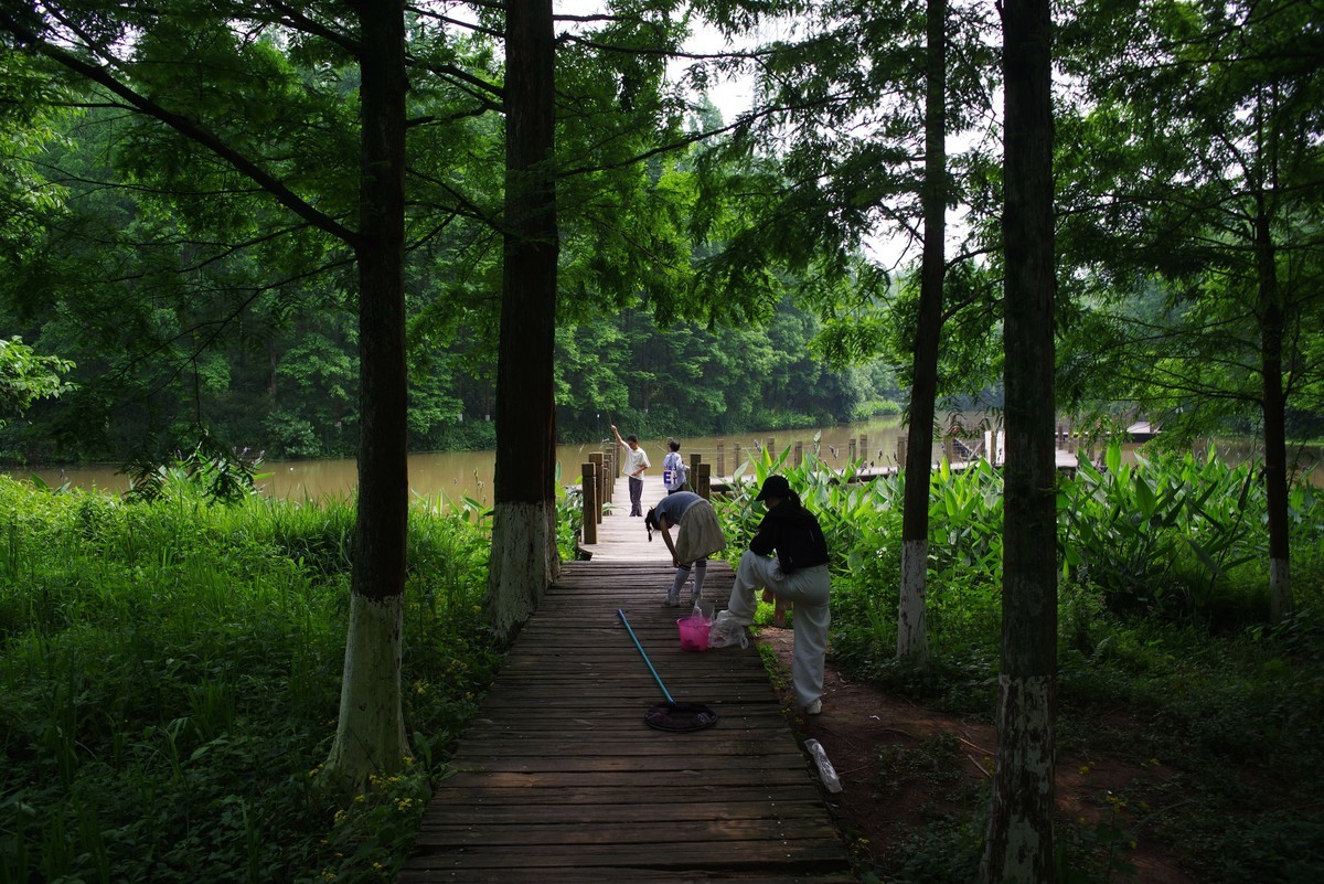 九曲河湿地公园