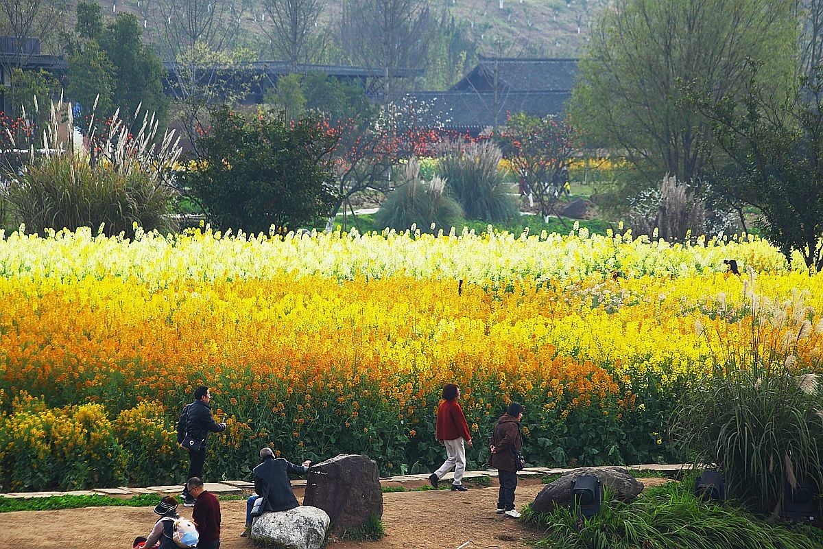 长江第一城——宜宾（十）