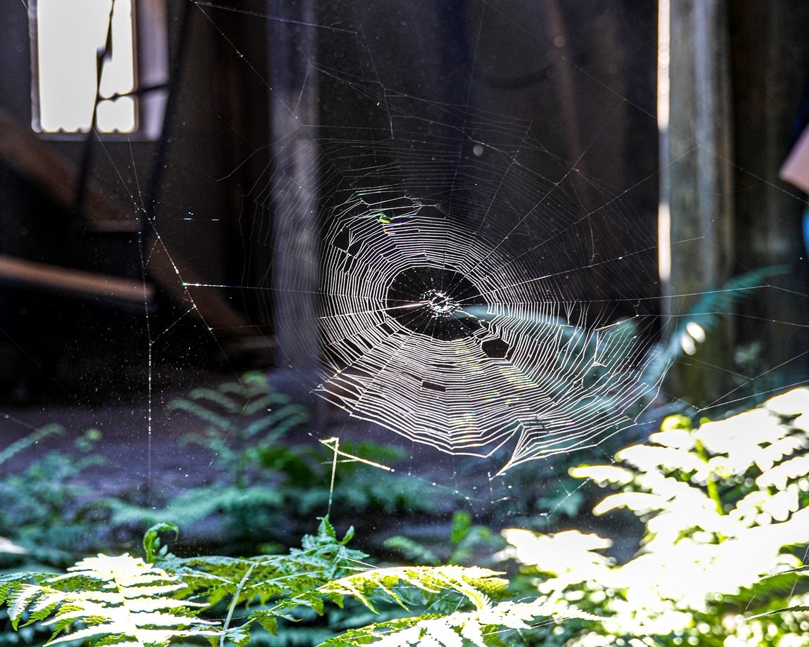 浙南--遂昌独山村【4】