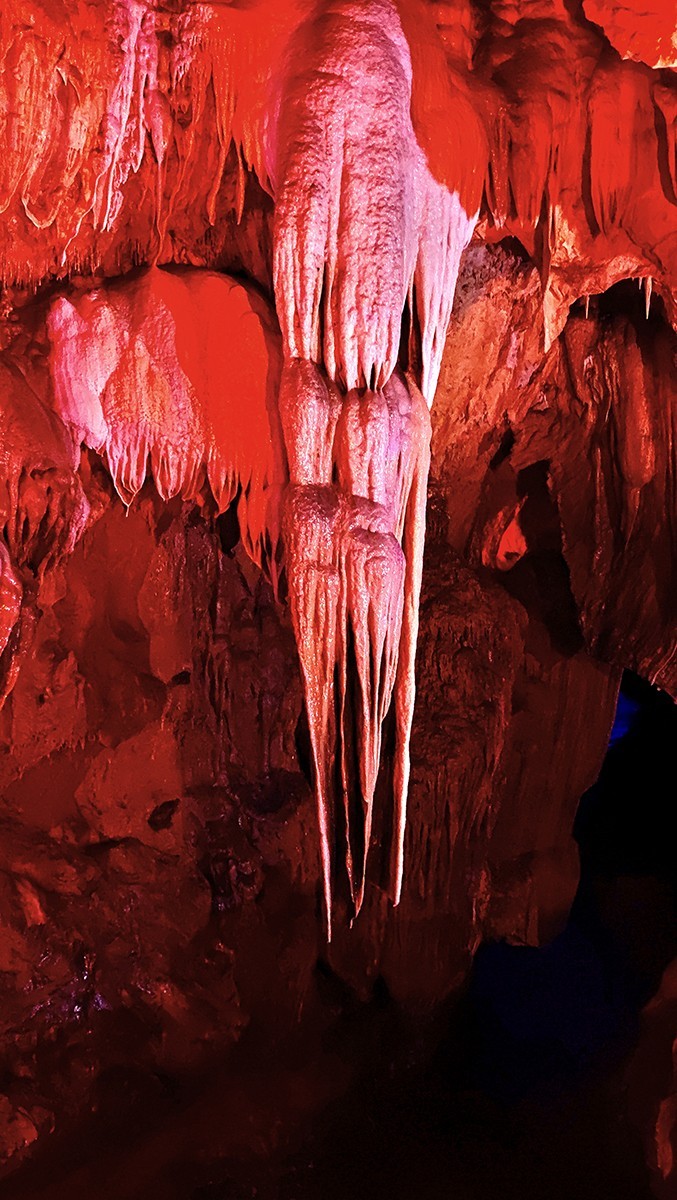 好长时间没来，早期的帖子照片都打不开啦