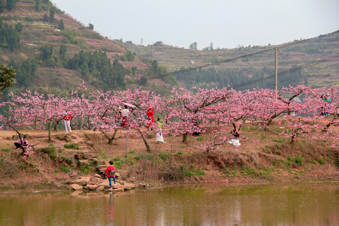 龙泉桃花沟景区图片