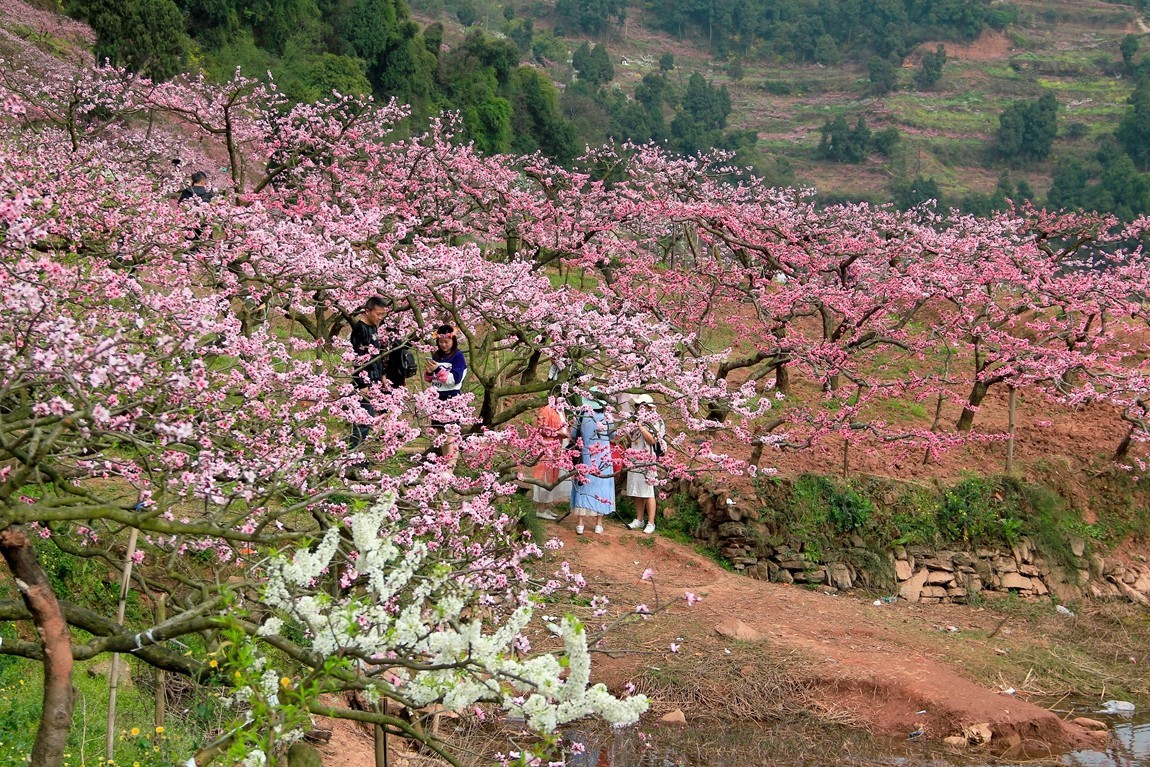 桃花沟景区图片图片