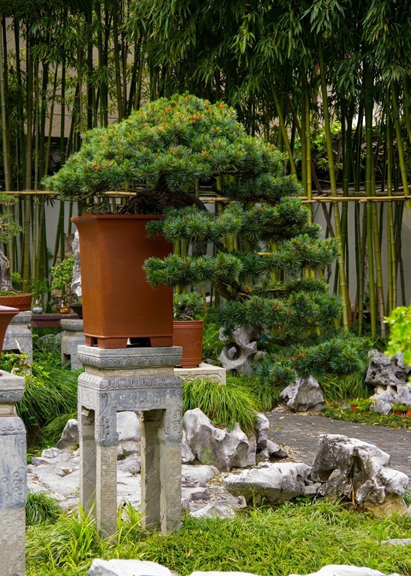 中国四大名园之--个园【1】