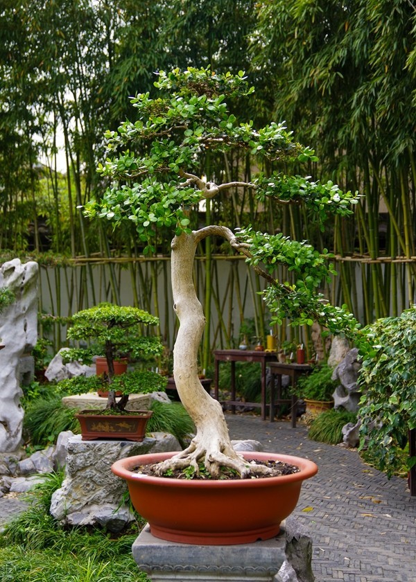 中国四大名园之--个园【1】