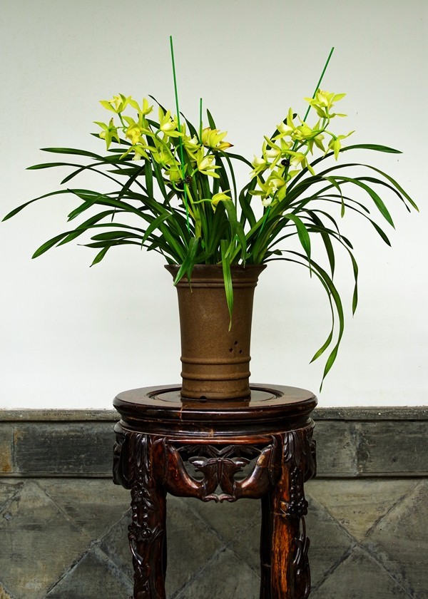 中国四大名园之--个园【1】