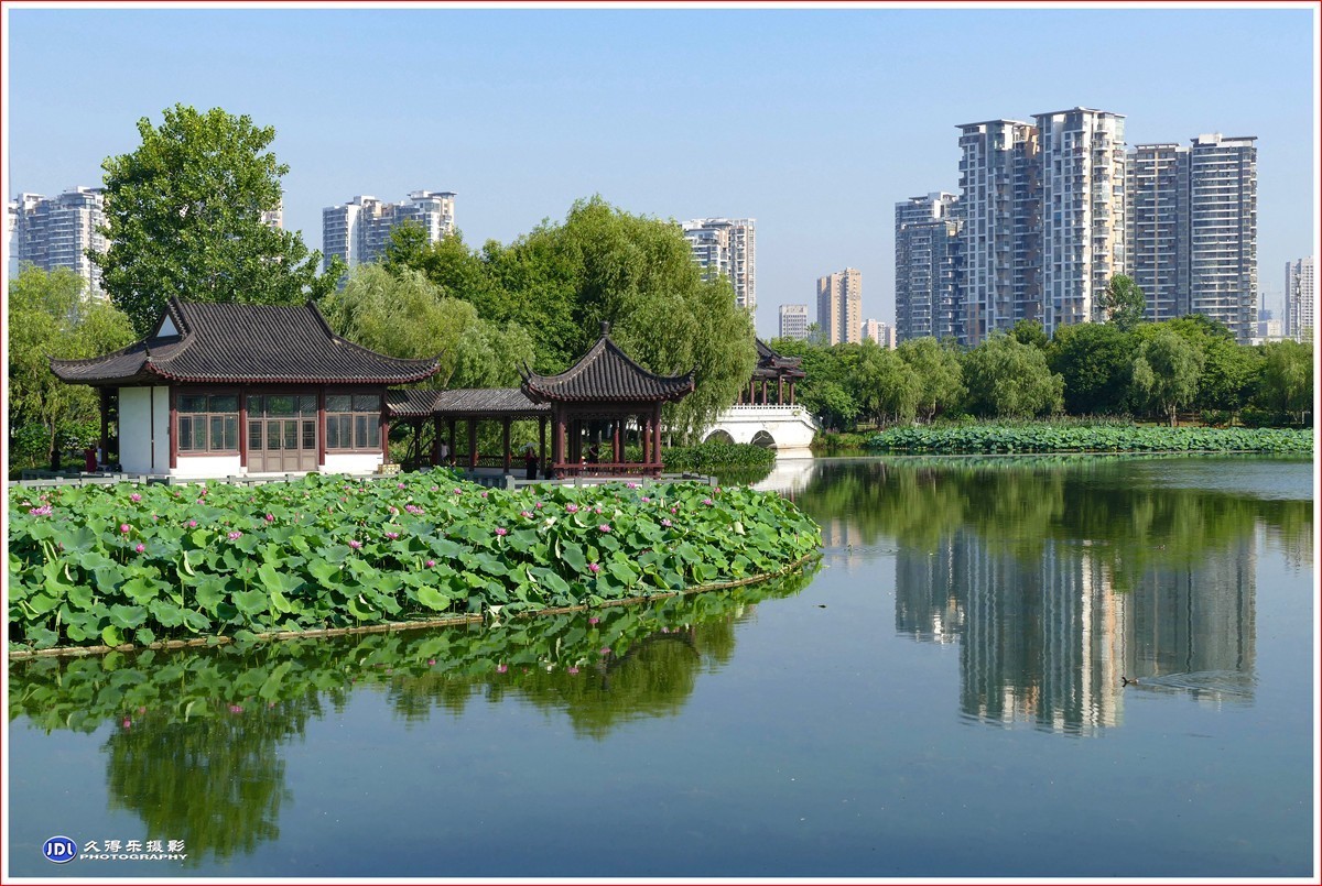 202270夏日的沙湖公园