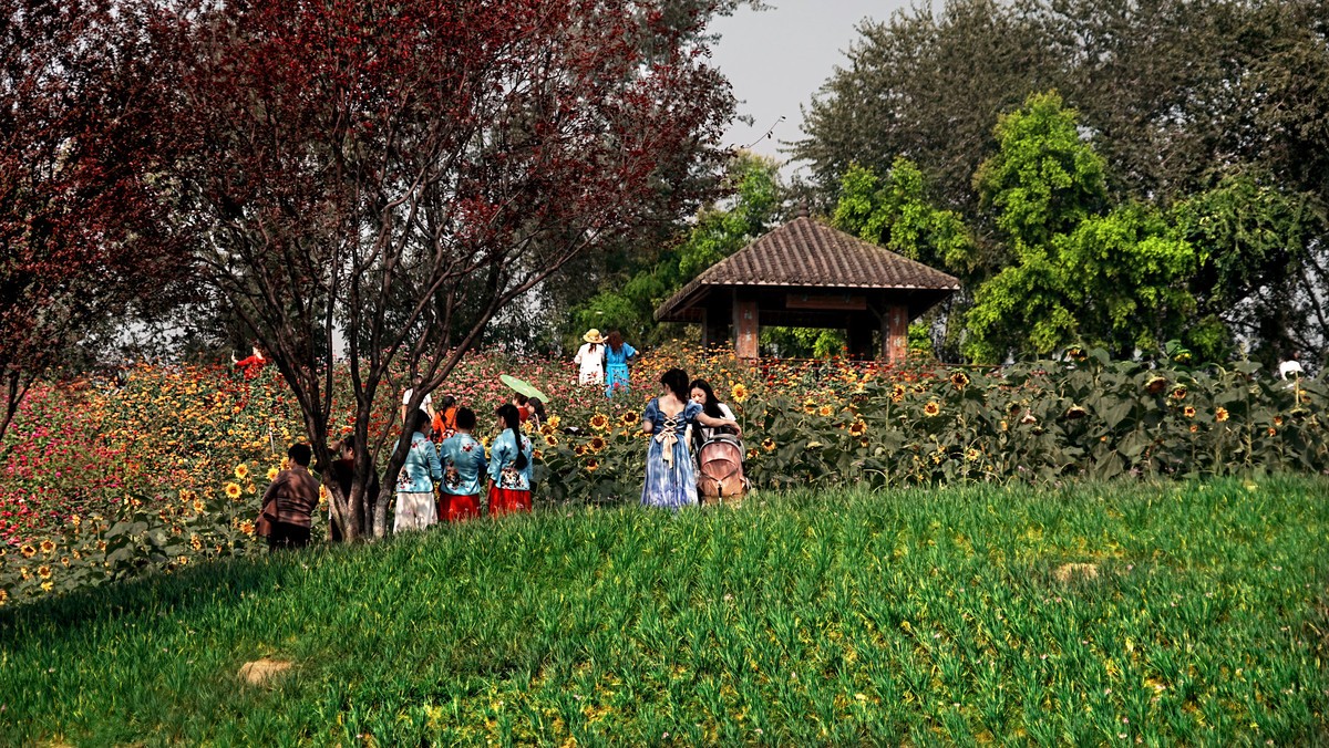 在秋天里赏花的心情