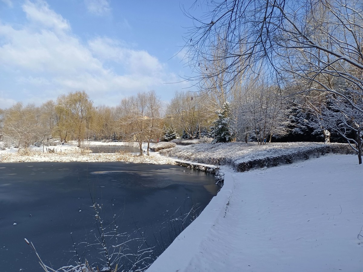 手机拍照人民公园雪景1