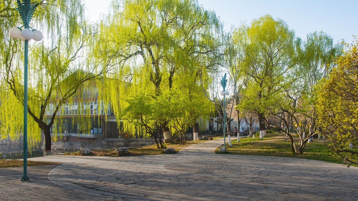 春到园林●（2）