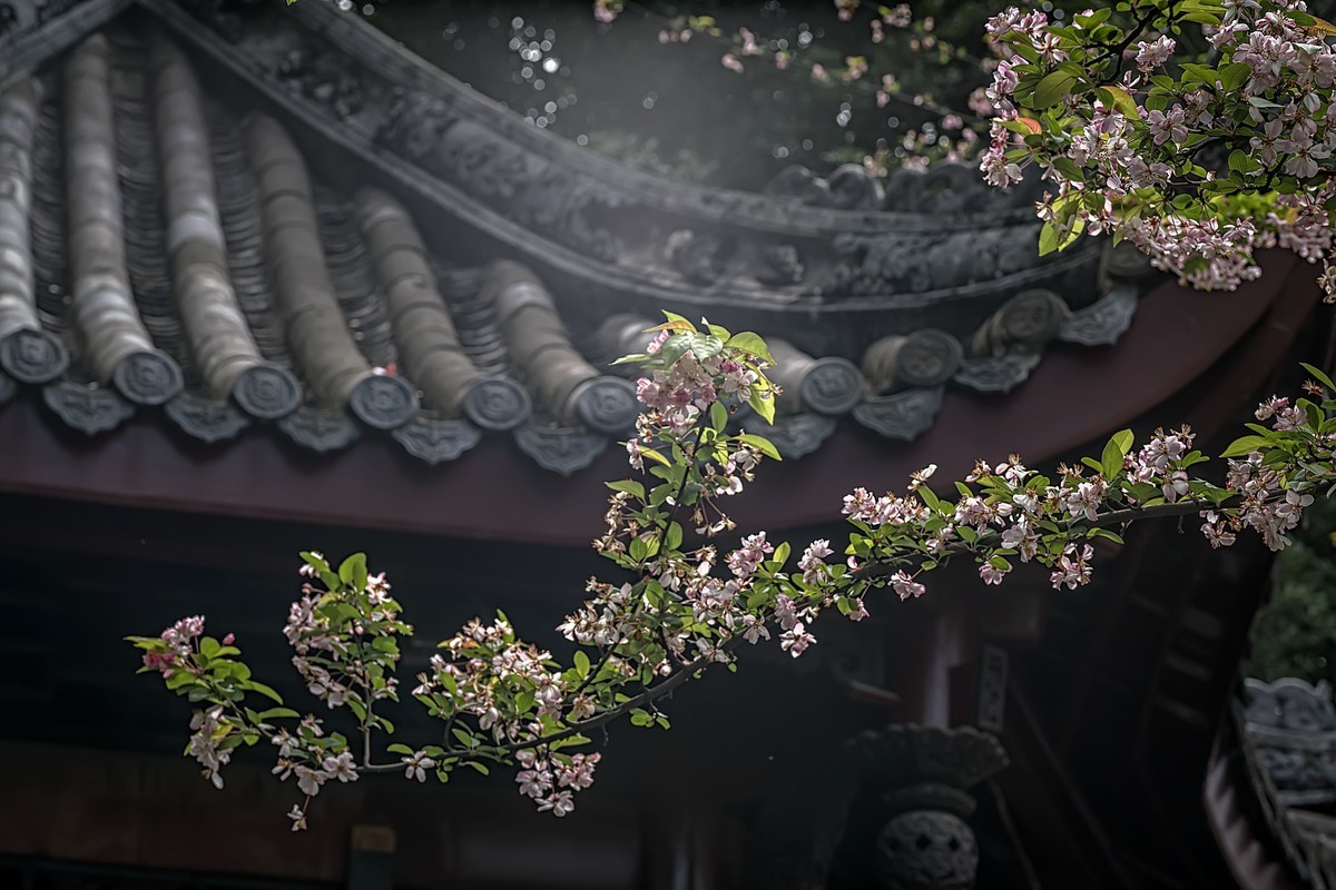 成都双流·棠湖公园