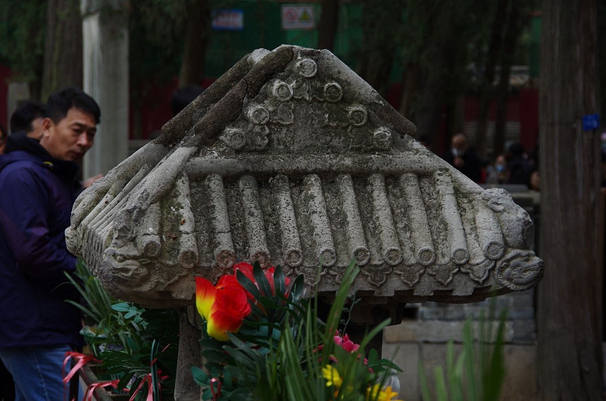 山东曲阜孔林-26P