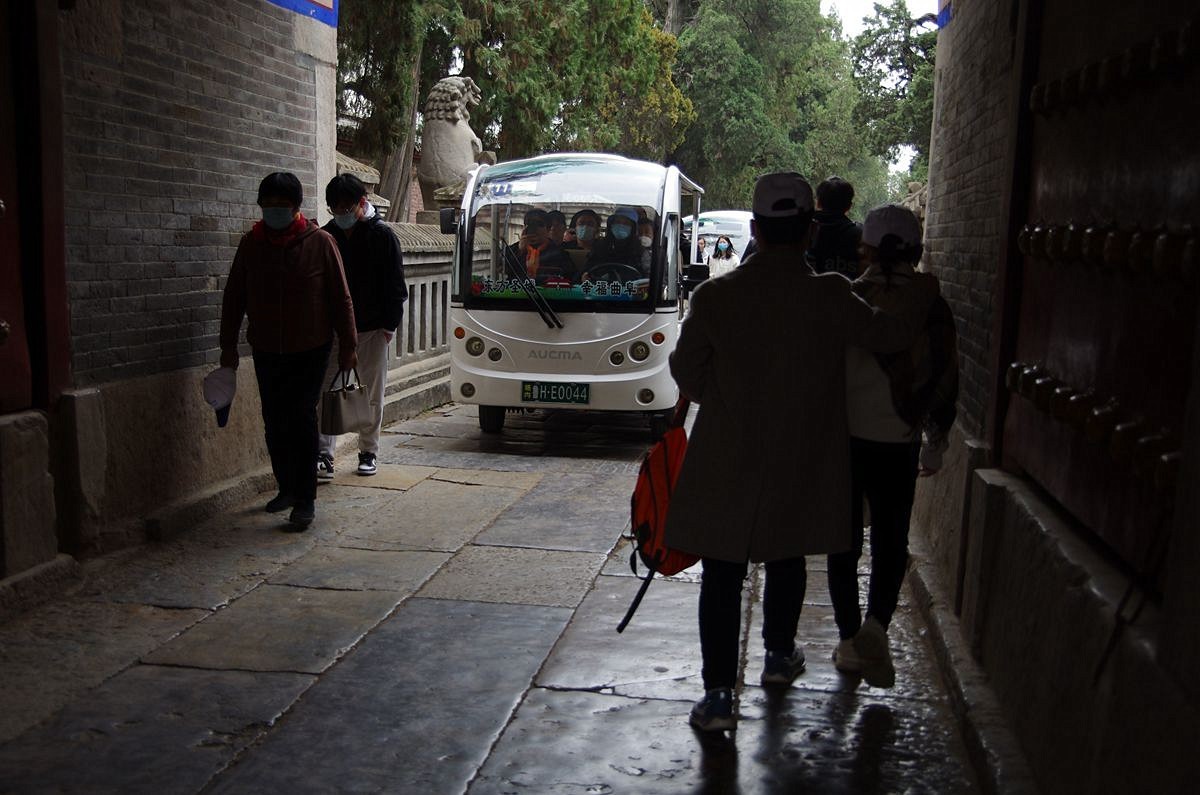 山东曲阜孔林-26P