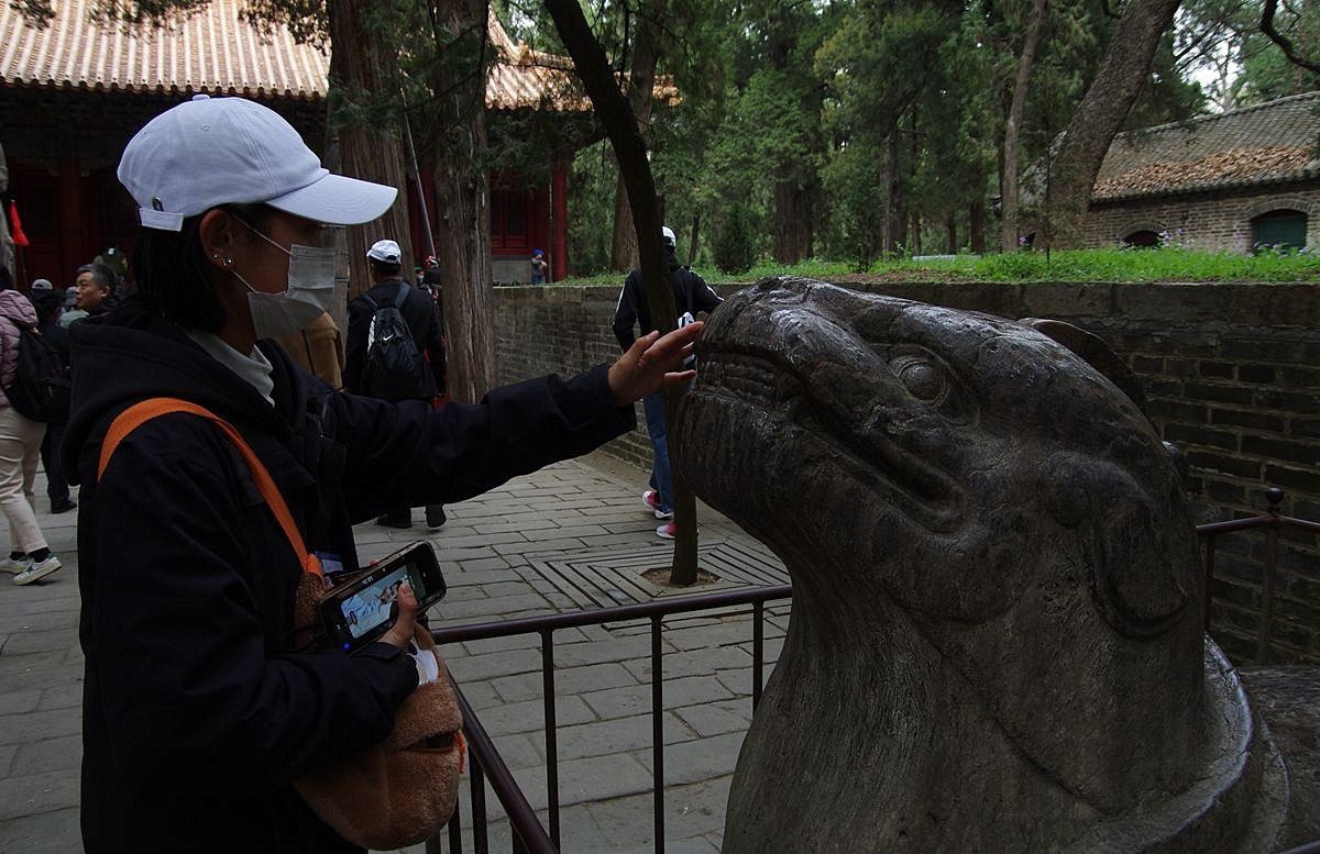 山东曲阜孔林-26P