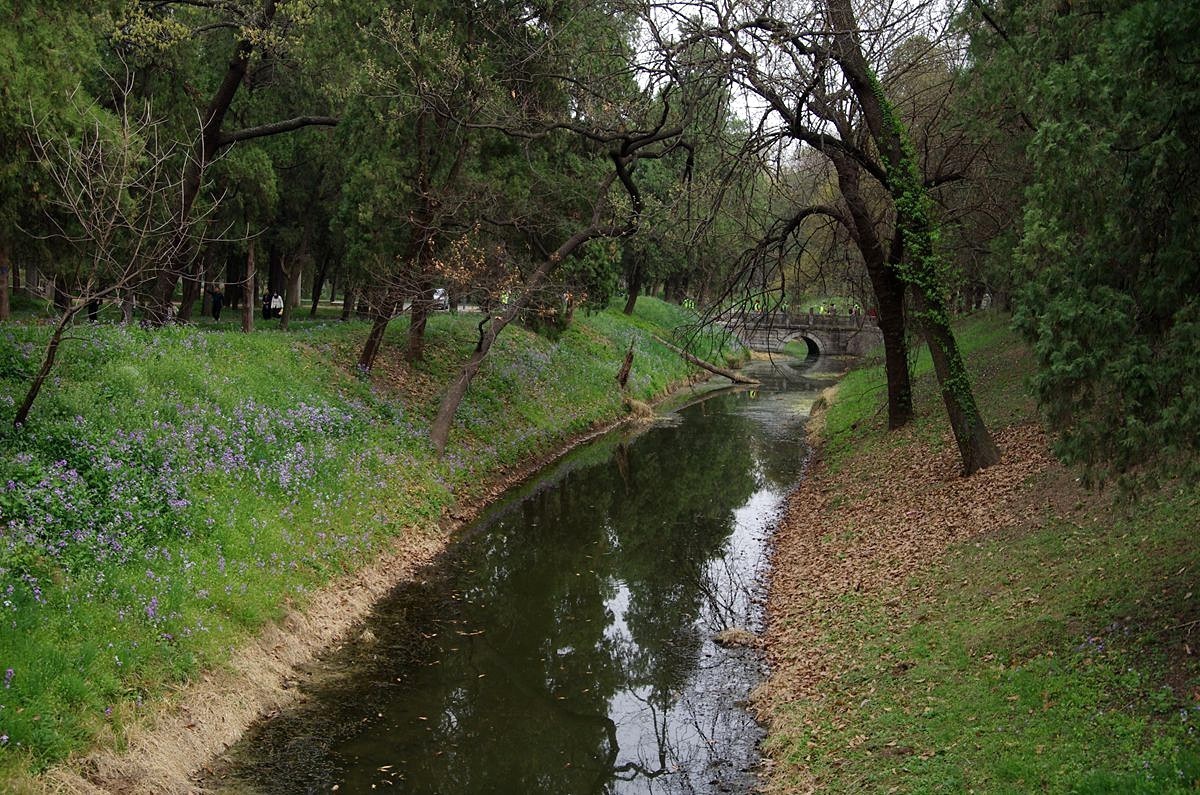 山东曲阜孔林-26P