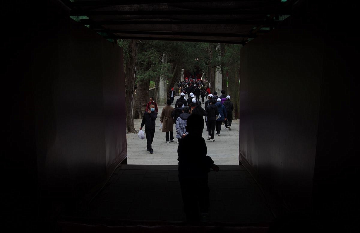 山东曲阜孔林-26P