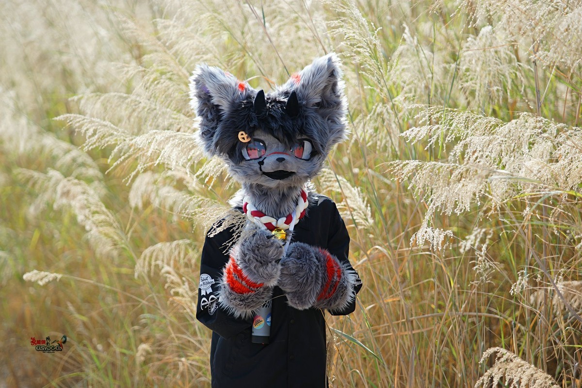 【毛绒犬系酷男】---浩浩