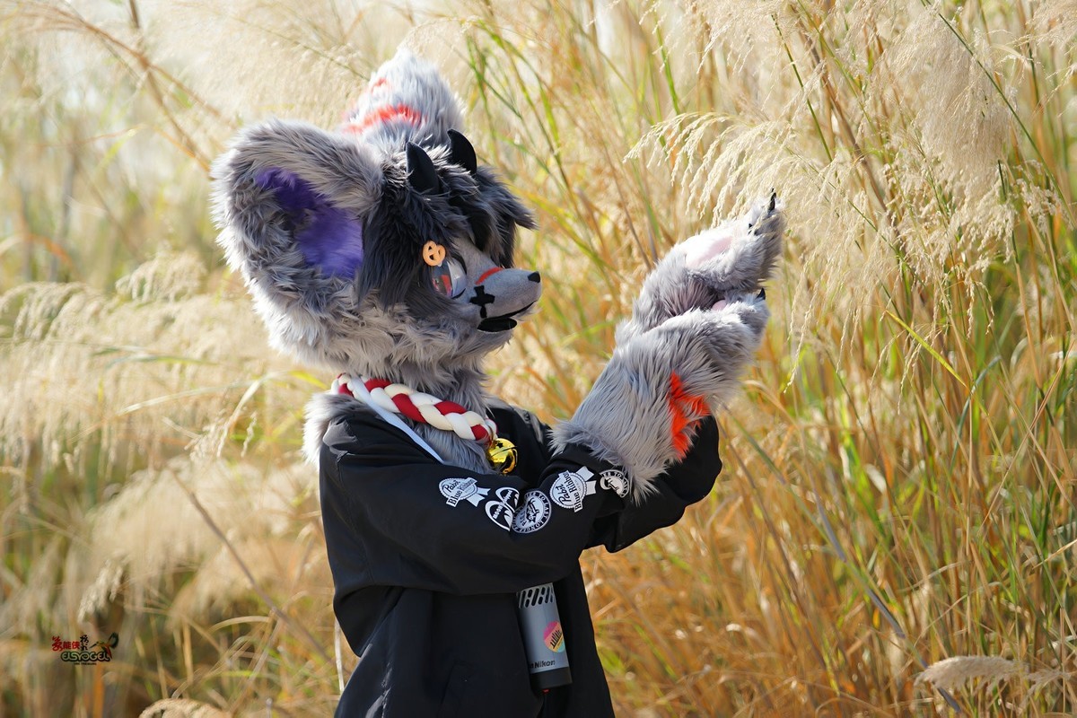 【毛绒犬系酷男】---浩浩