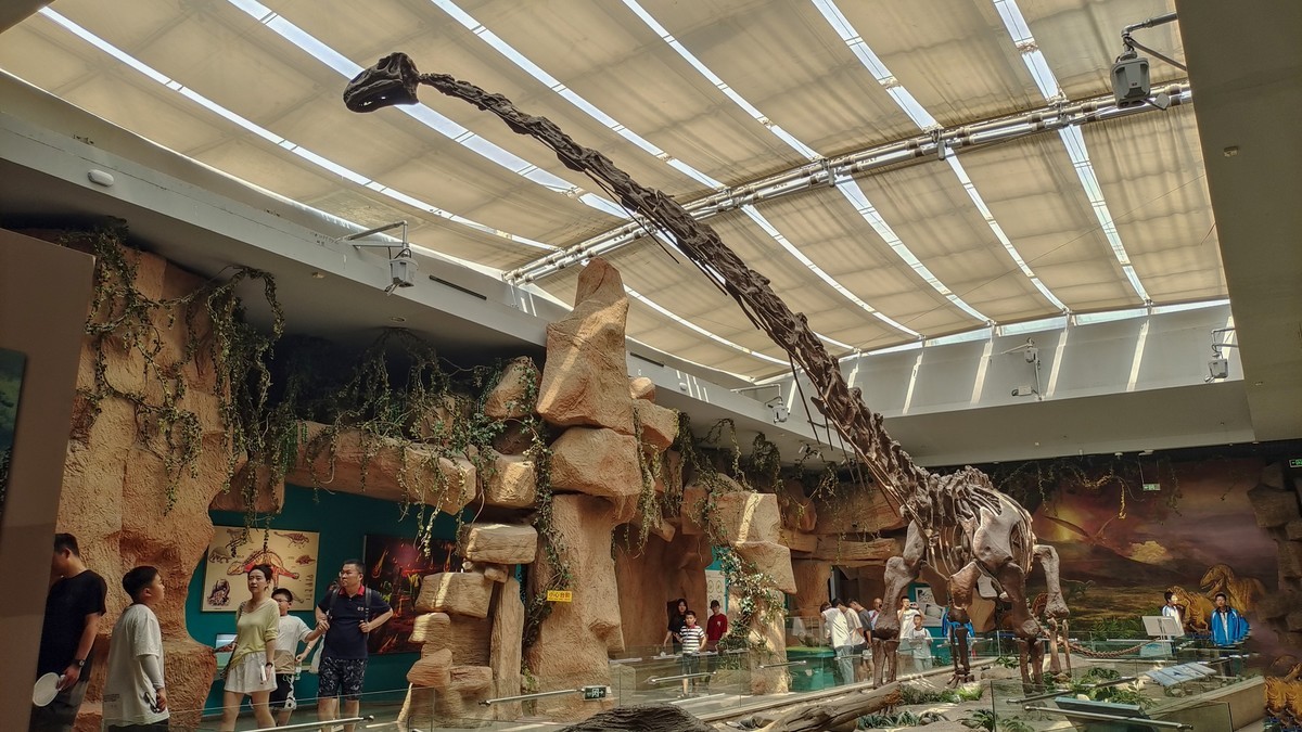 甘肃博物馆之古生物化石