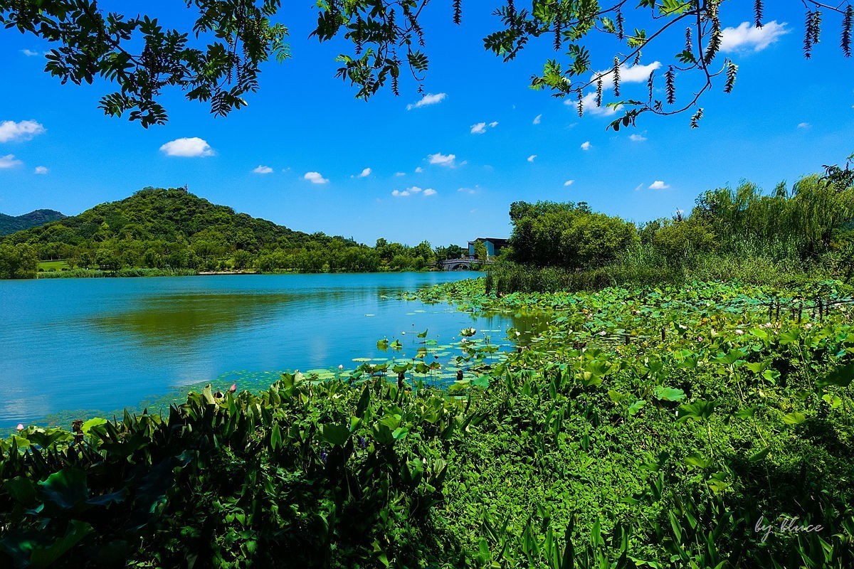 夏日湘湖（9）