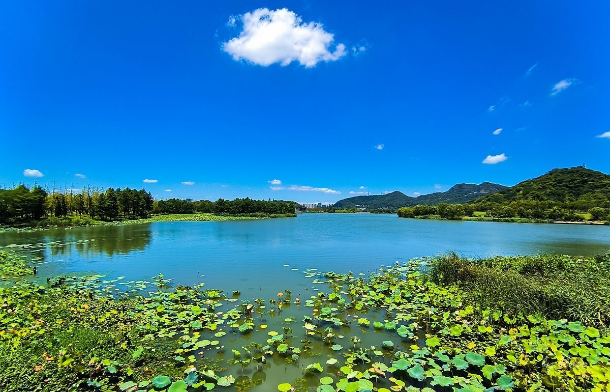 夏日湘湖（9）
