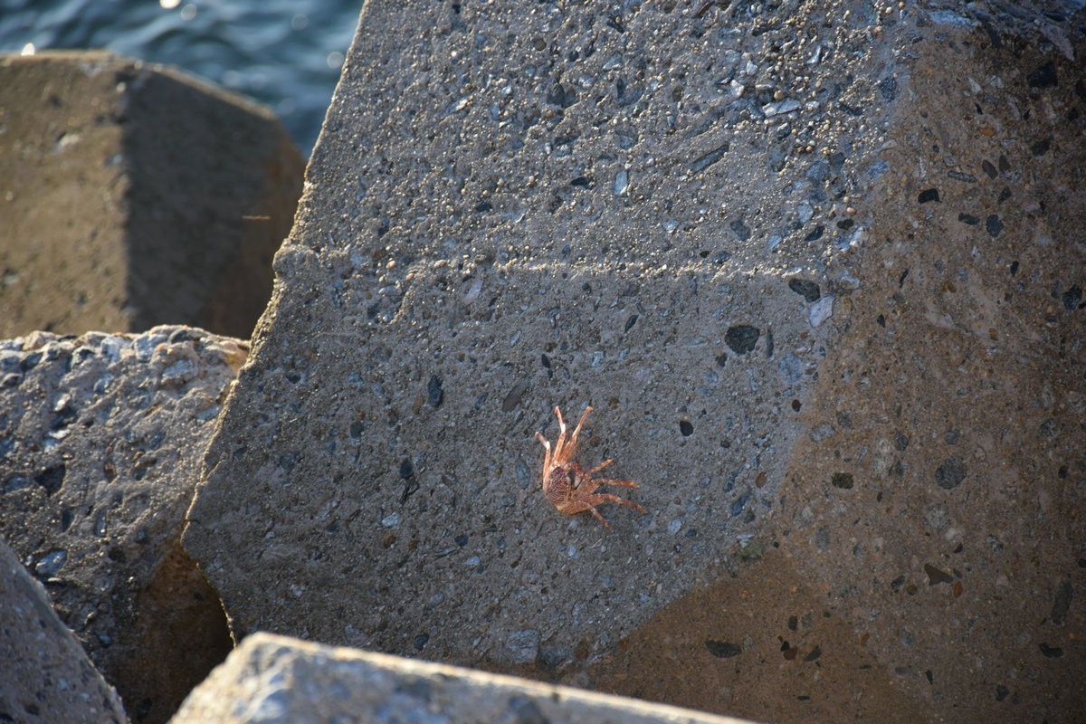 2024夏 海南环岛行（83）海南自由灯塔
