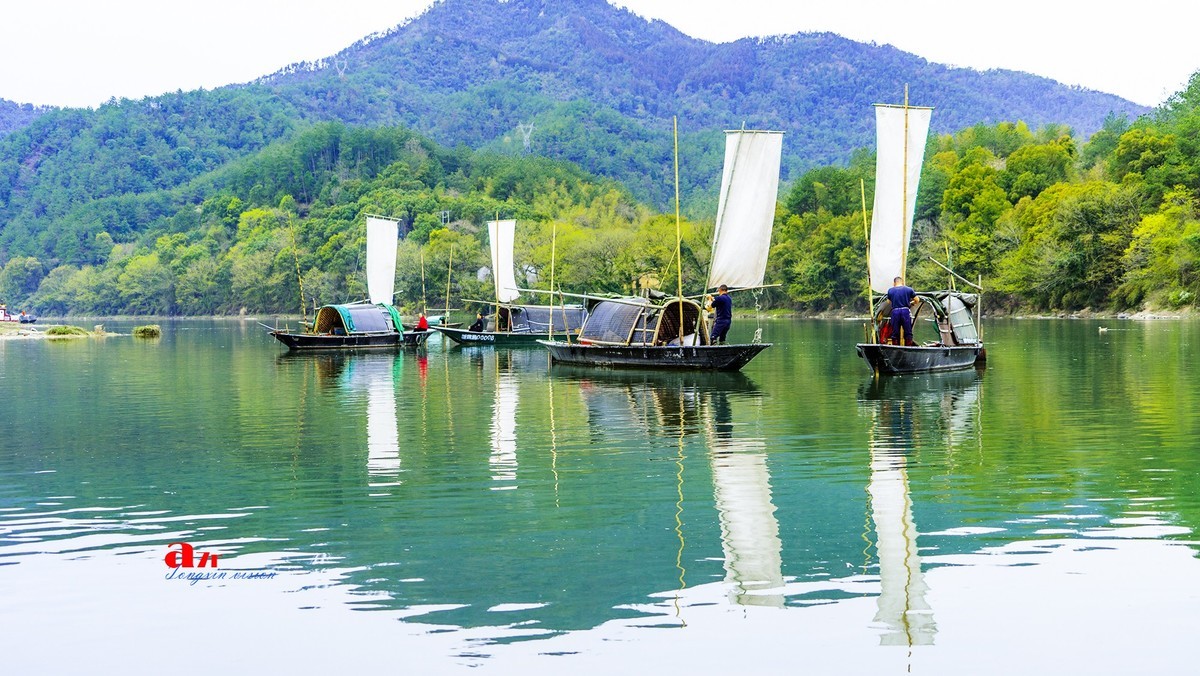 三月下江南——瓯江渔歌（17）