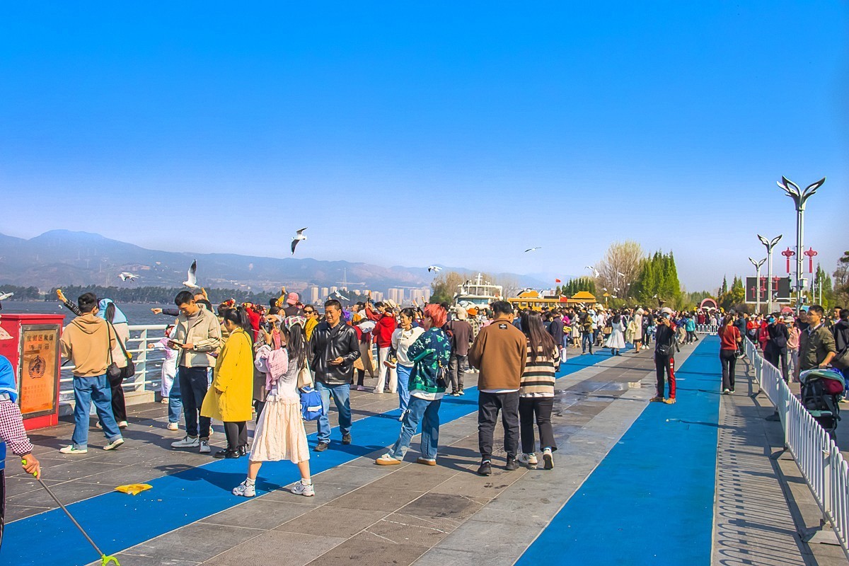 2024-10-24昆明海埂（五）