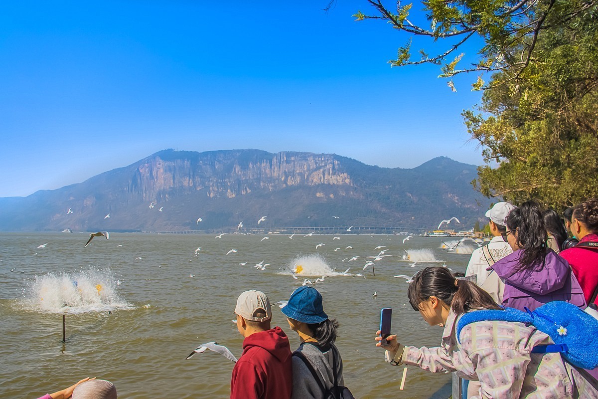 2024-10-24昆明海埂（五）