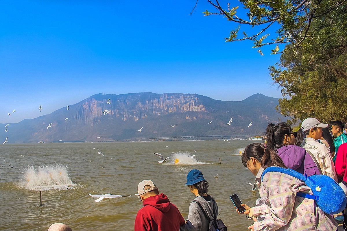 2024-10-24昆明海埂（五）