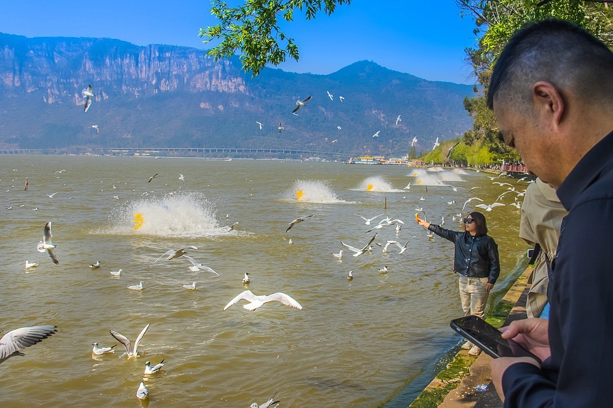 2024-10-24昆明海埂（五）