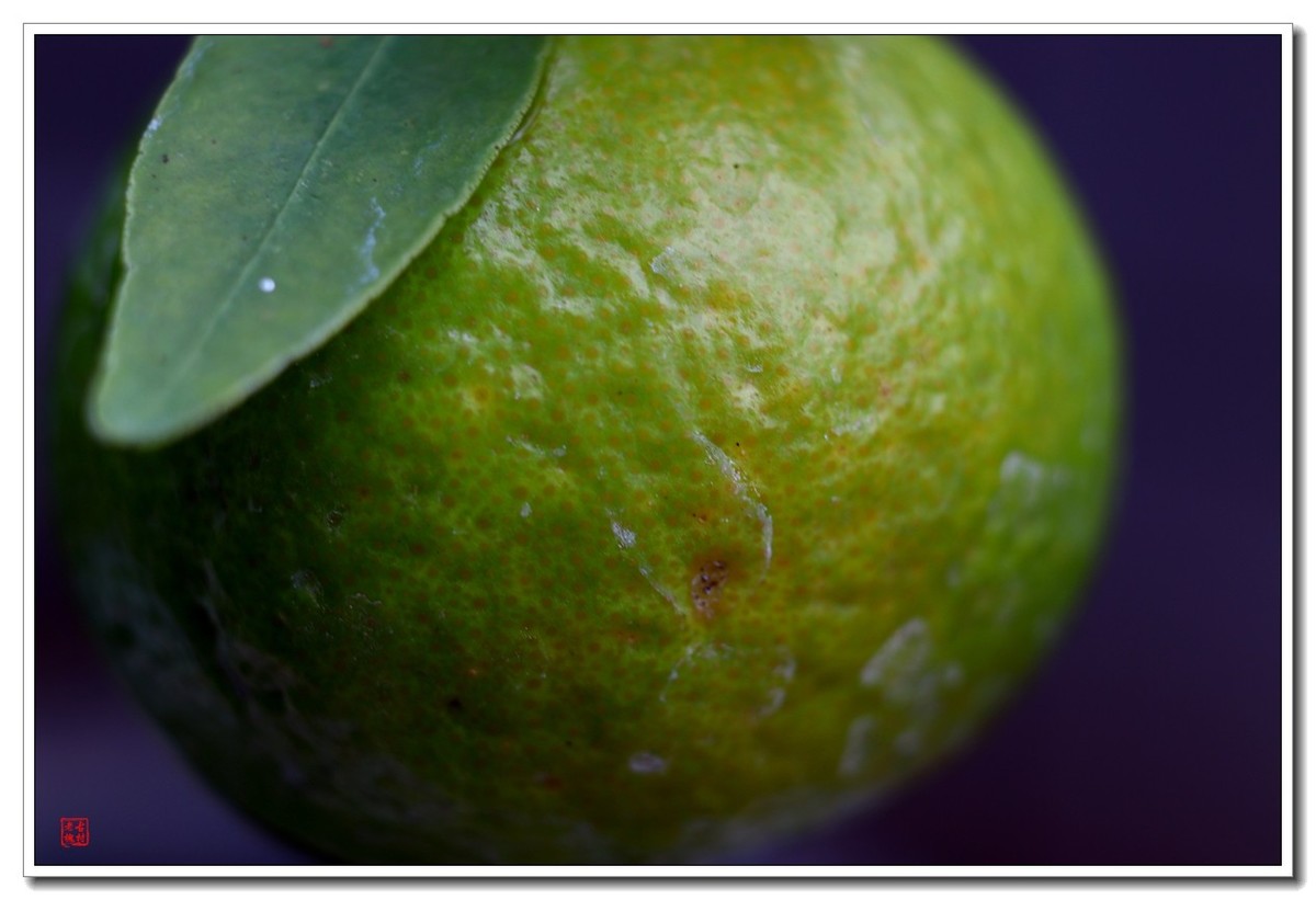 40饼接了个12mm近摄圈